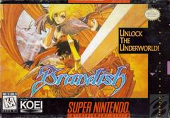 Brandish (SNES)