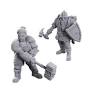 Dungeons & Dragons Nolzur's Marvelous Miniatures: Limited Edition 50th Anniversary - Dwarves