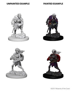 Dungeons & Dragons Nolzur's Marvelous Unpainted Miniatures: Drow