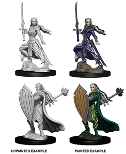 Dungeons & Dragons Nolzur's Marvelous Unpainted Miniatures: Elf Paladin (Female)