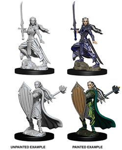 Dungeons & Dragons Nolzur's Marvelous Unpainted Miniatures: Elf Female Paladin
