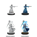 Dungeons & Dragons Nolzur's Marvelous Unpainted Miniatures: Elf Female Wizard (V2)