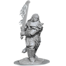 Dungeons & Dragons Nolzur's Unpainted Miniatures: Fire Giant