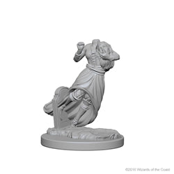 Dungeons & Dragons Nolzur's Marvelous Unpainted Miniatures: Ghost & Banshee