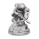 Dungeons & Dragons Nolzur's Marvelous Unpainted Miniatures: Grungs
