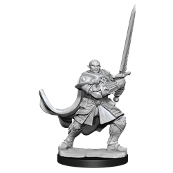 Dungeons & Dragons Nolzur's Marvelous Unpainted Miniatures: Half-Orc Paladin (Male)