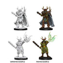 Pathfinder Deep Cut Miniatures: Half-Orc Druid (Male)