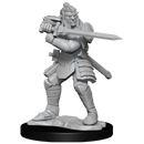 Dungeons & Dragons Nolzur's Marvelous Unpainted Miniatures: Male Hobgoblin Fighter & Hobgoblin Wizard
