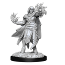 Dungeons & Dragons Nolzur's Marvelous Unpainted Miniatures: Male Hobgoblin Fighter & Hobgoblin Wizard