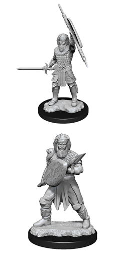 Dungeons & Dragons Nolzur's Marvelous Unpainted Miniatures: Human Fighter (Male)