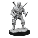 Dungeons & Dragons Nolzur's Marvelous Unpainted Miniatures: Human Bard (Male)