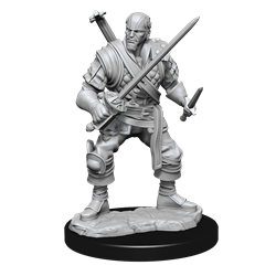 Dungeons & Dragons Nolzur's Marvelous Unpainted Miniatures: Human Bard (Male)