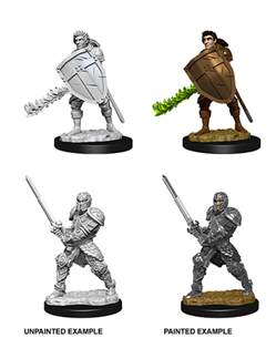 Dungeons & Dragons Nolzur's Marvelous Unpainted Miniatures: Human Male Fighter