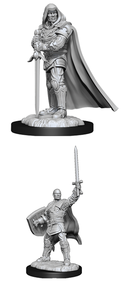 Dungeons & Dragons Nolzur's Marvelous Unpainted Miniatures: Human Paladin (Male) (V3)