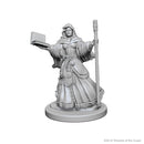 Dungeons & Dragons Nolzur's Marvelous Unpainted Miniatures: Human Wizard (Female)