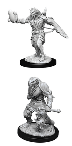 Dungeons & Dragons Nolzur's Marvelous Unpainted Miniatures: Dragonborn Paladin (Male)(V2)