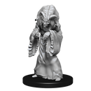 Dungeons & Dragons Nolzur's Marvelous Unpainted Miniatures: Night Hag & Dust Hag