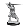 Dungeons & Dragons Nolzur’s Marvelous Miniatures: HUMAN PALADIN MALE