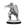 Dungeons & Dragons Nolzur’s Marvelous Miniatures: HUMAN PALADIN MALE