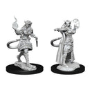Dungeons & Dragons Nolzur's Marvelous Unpainted Miniatures: Tiefling Sorcerer (Female)