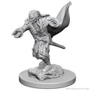 Dungeons & Dragons Nolzur's Marvelous Unpainted Miniatures: Vampires