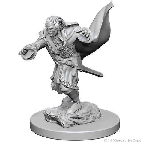 Dungeons & Dragons Nolzur's Marvelous Unpainted Miniatures: Vampires
