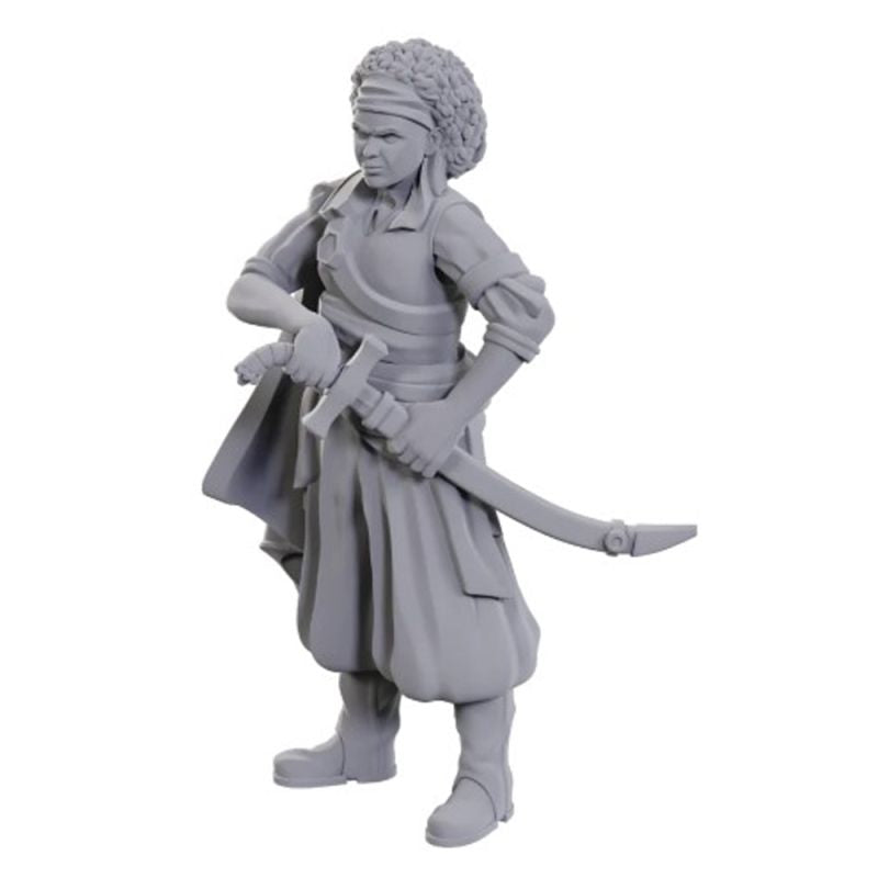 Dungeons & Dragons: Nolzur's Marvelous Unpainted Miniatures - Ansalon Human Rogue